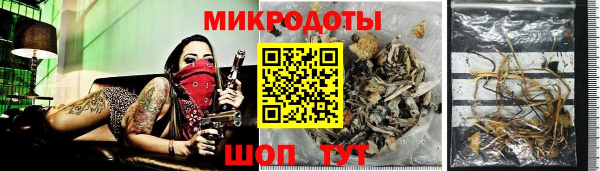 Псилоцибиновые грибы Cubensis  Вход с VPN  Псилоцибиновые грибы Psilocybine cubensis  Щёлково 